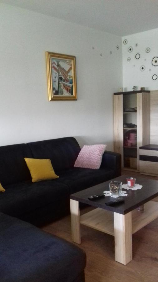 ザグレブApartman Lana ,Froudeova Ulica 3 Nasuprot Zg Velesajmaアパートメント エクステリア 写真